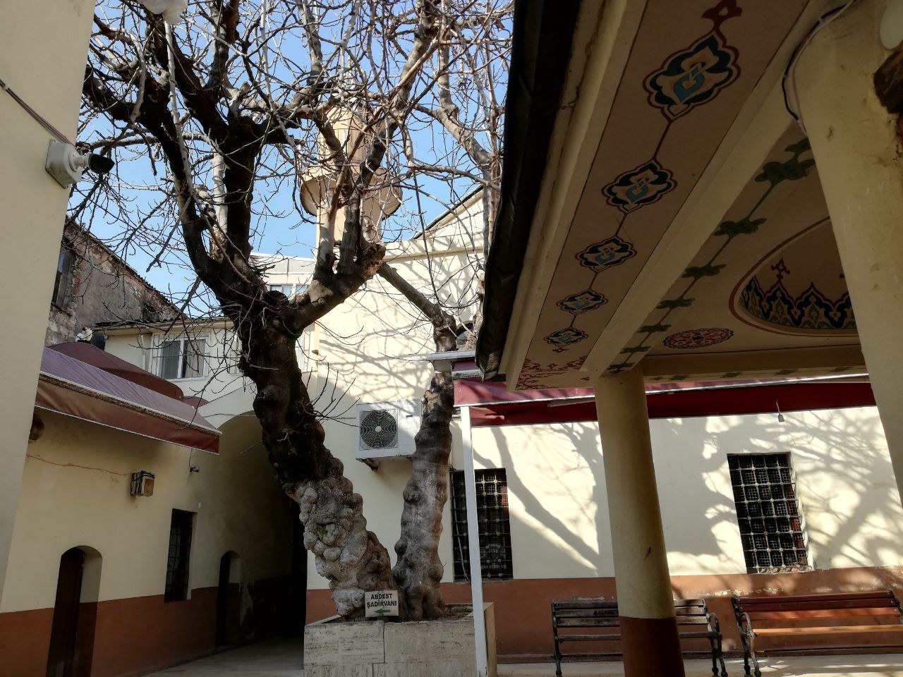 جامع أفضل زاده