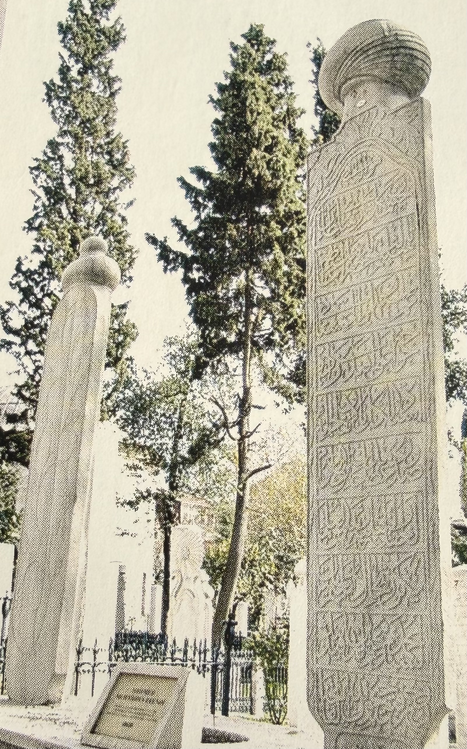 سيد محمد محيي الدين أفندي