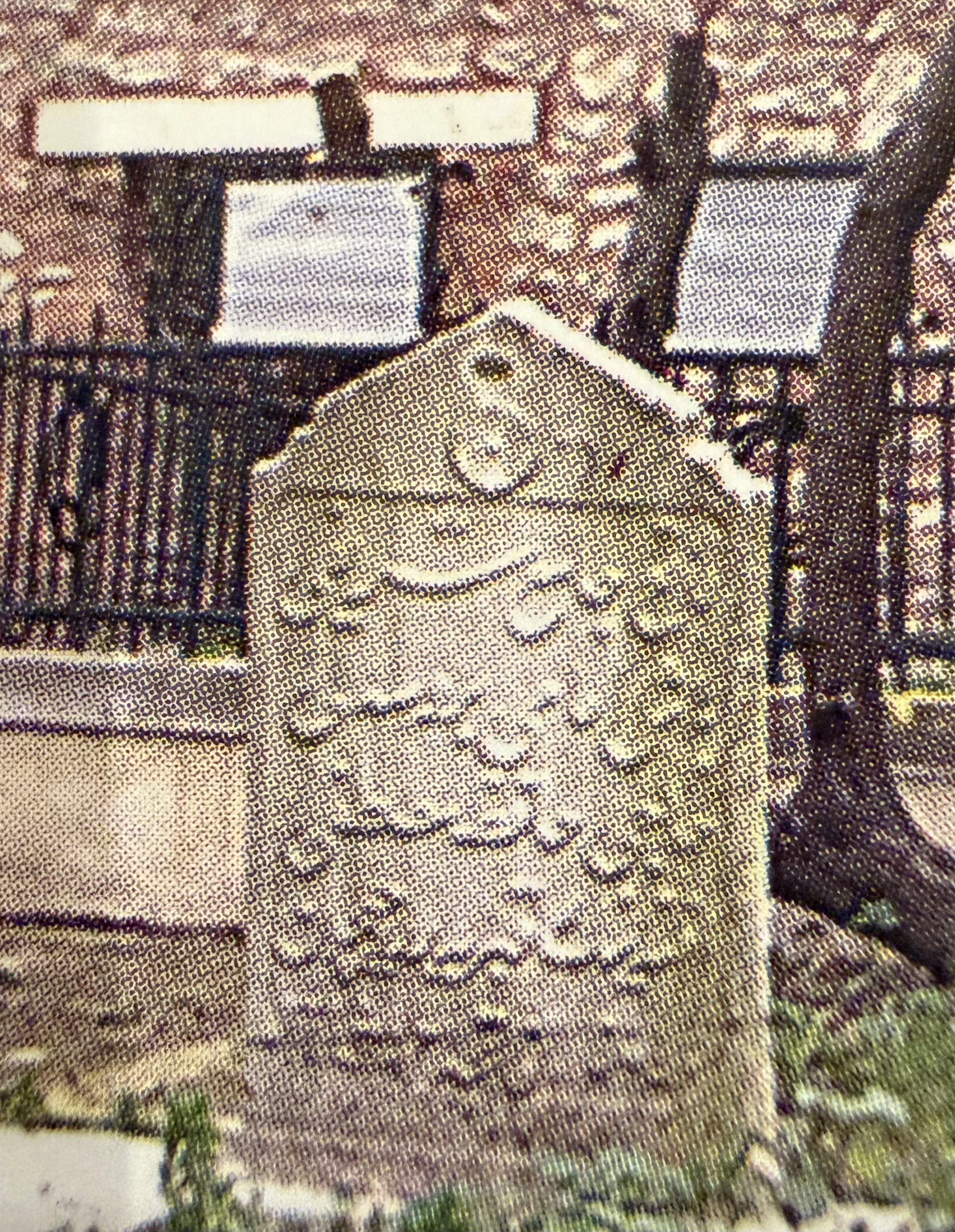 Hacı Hafız Mustafa Efendi