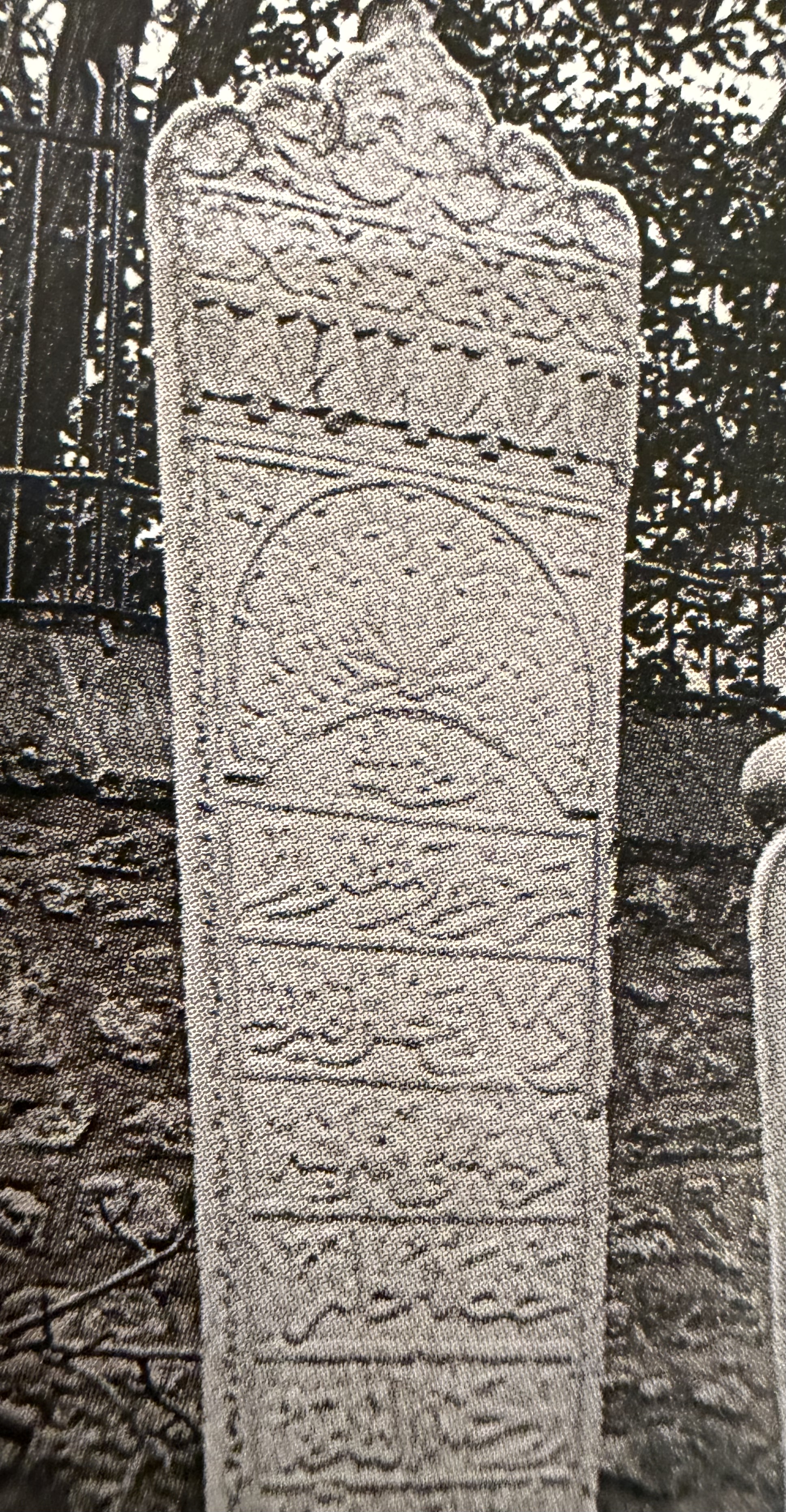 Şerife Hafsa Hanım