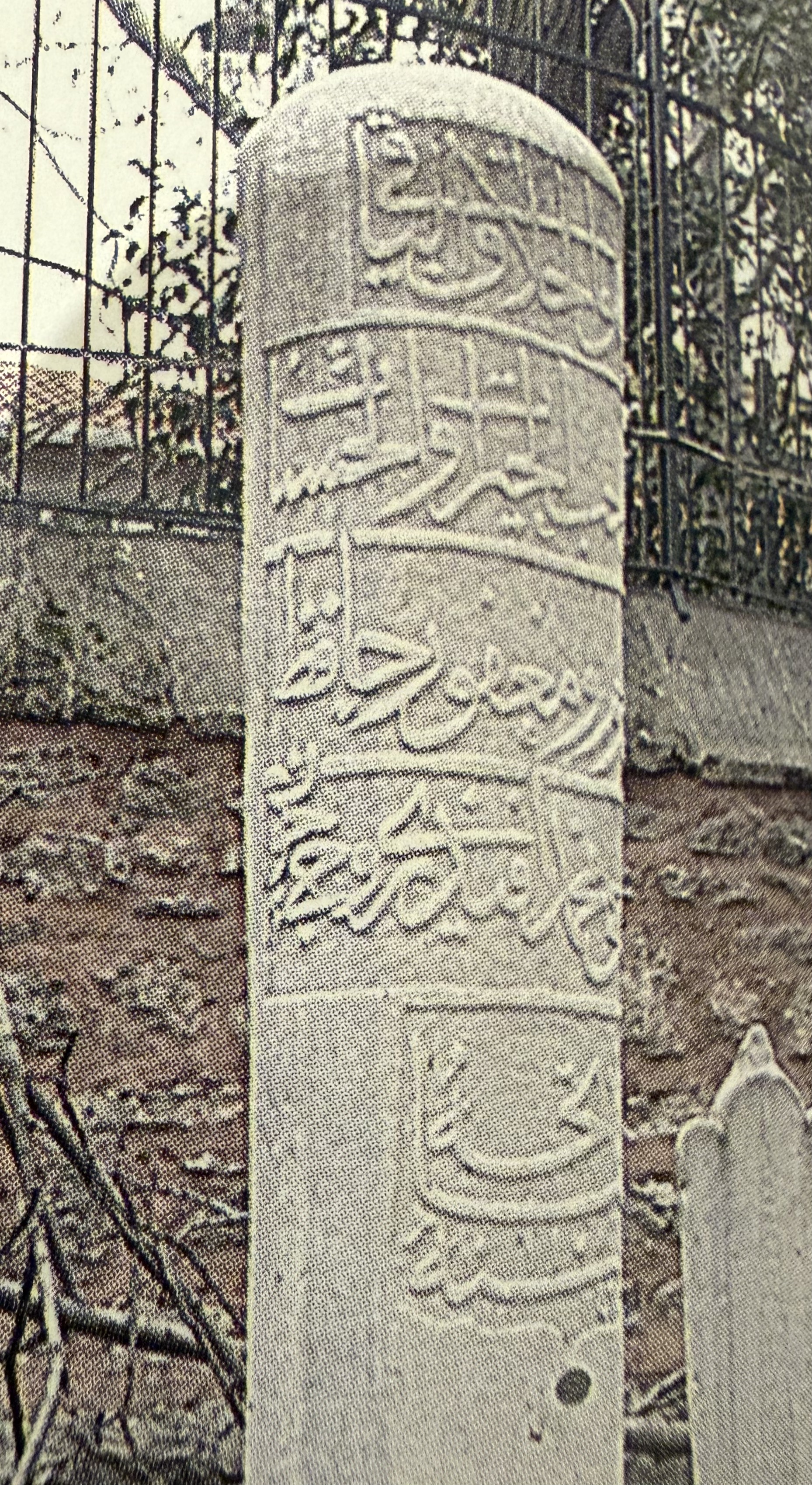 Mehmed Efendi