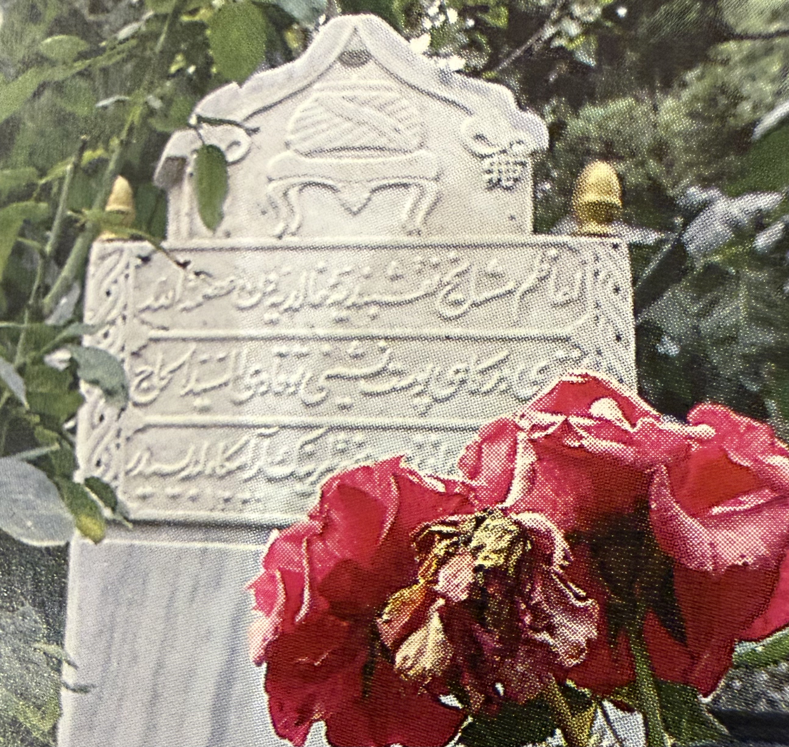 Mustafa Haki Efendi