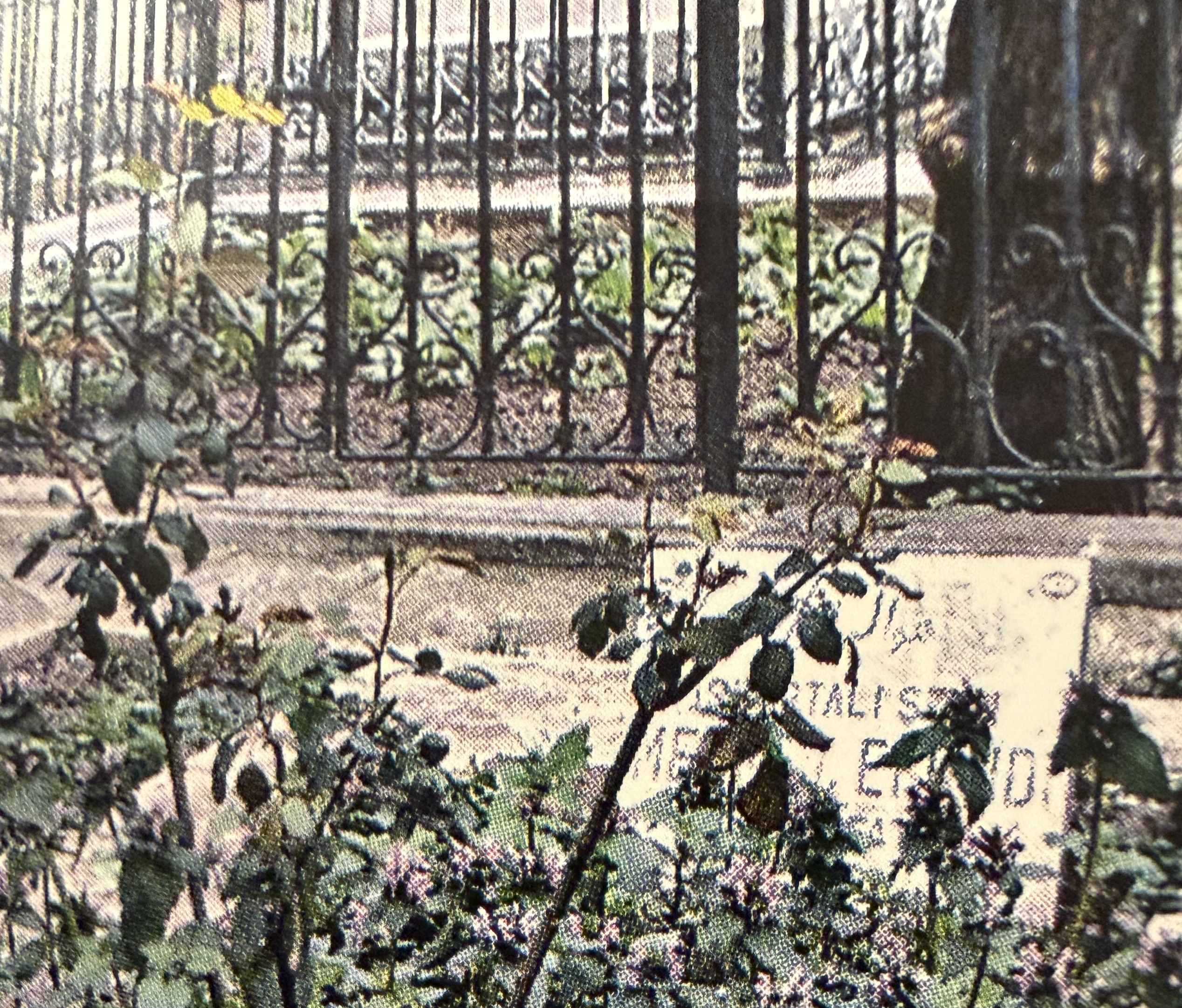 Şeyh Mehmed Efendi