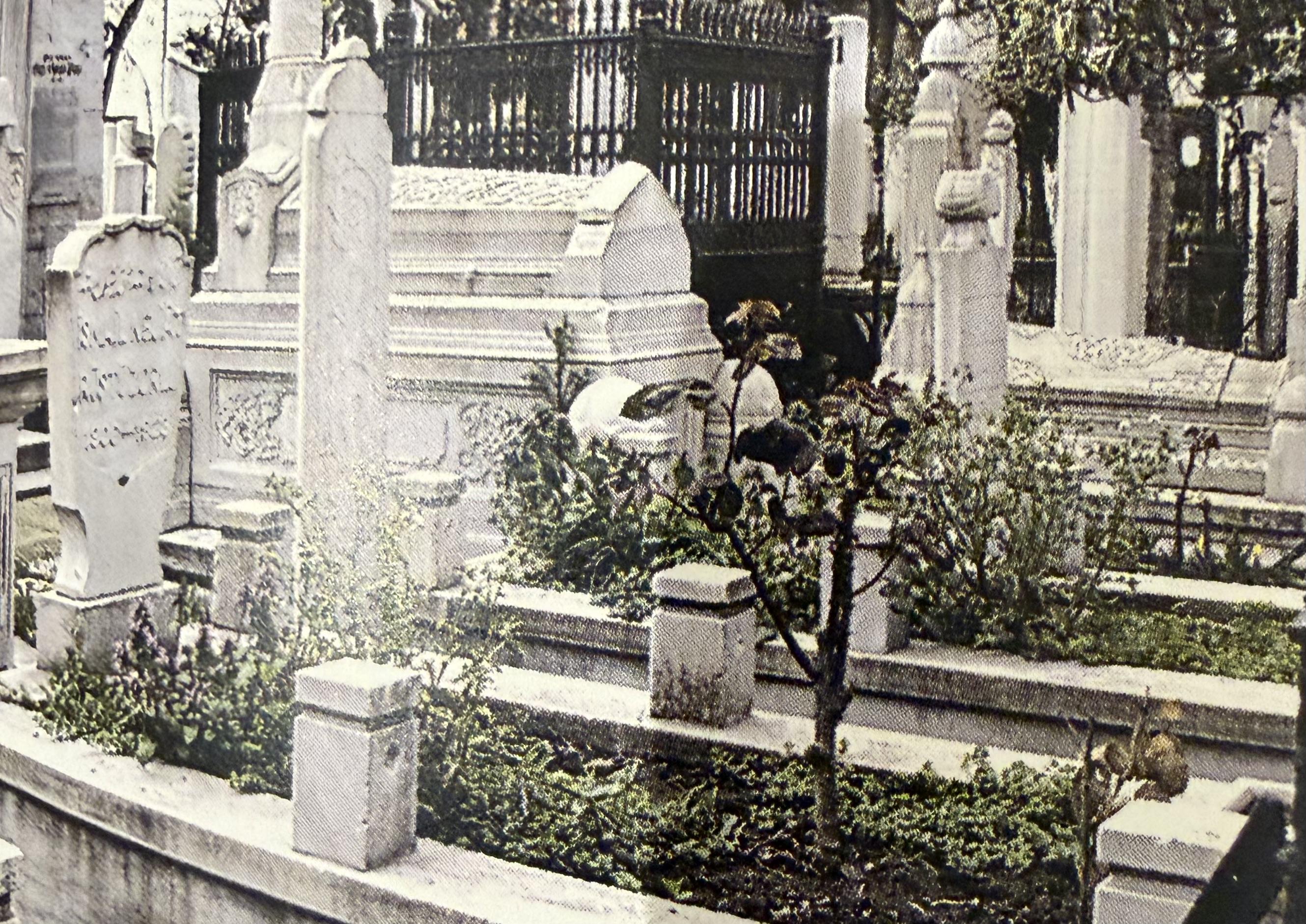 İsmail Nejat Rüştü Zorlu