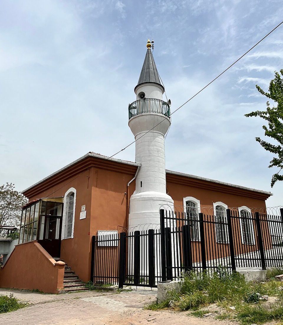 جامع هوجا علي