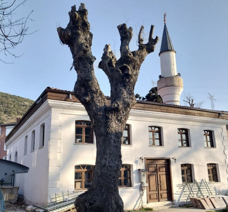 Midilli Ali Reis Moschee