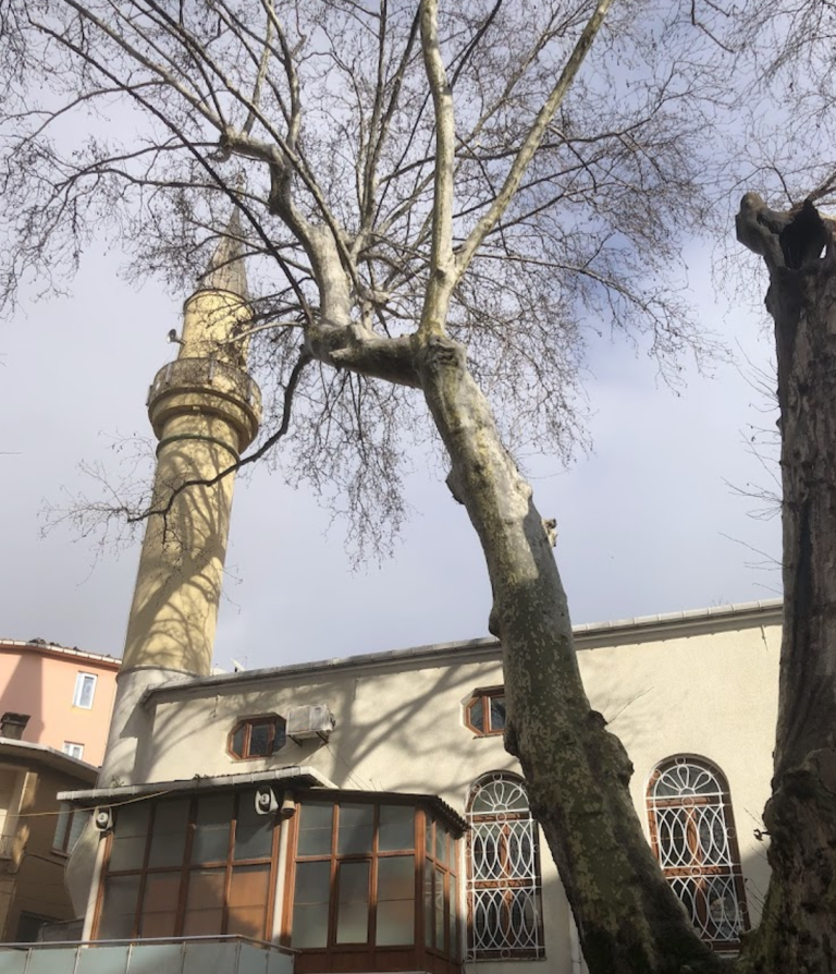 Yakacık Merkez Moschee